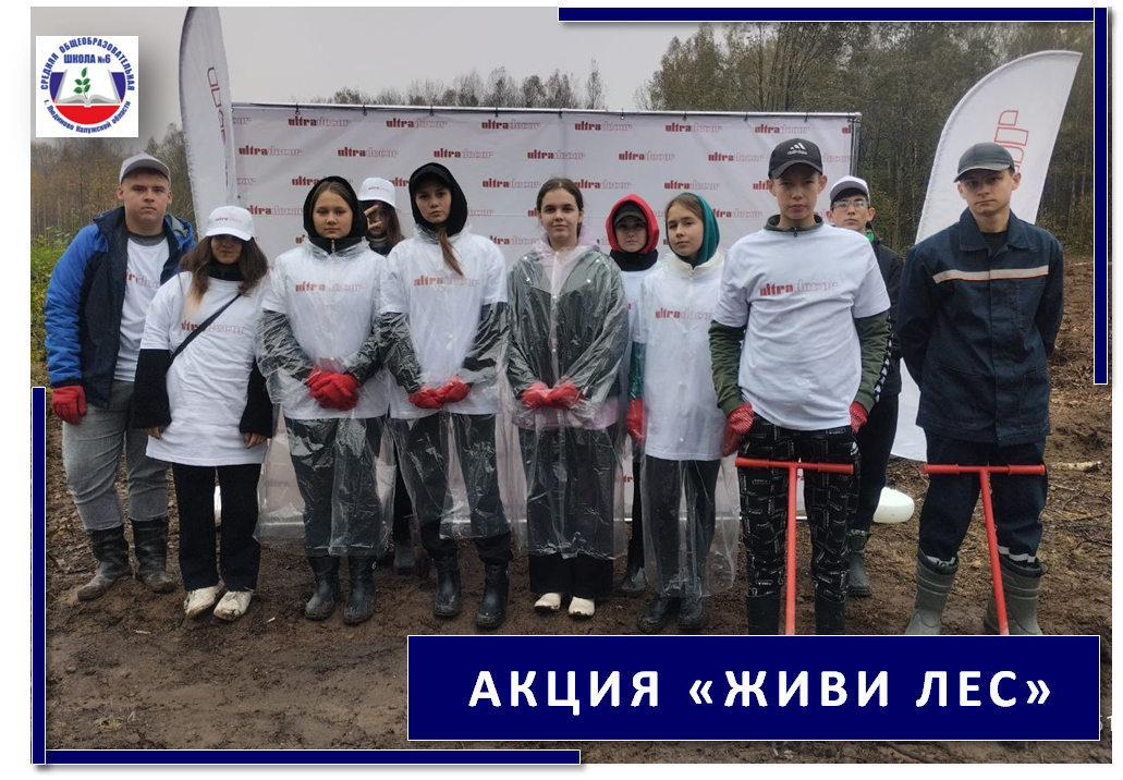 Акция по посадке деревьев &amp;quot;Живи лес&amp;quot;.